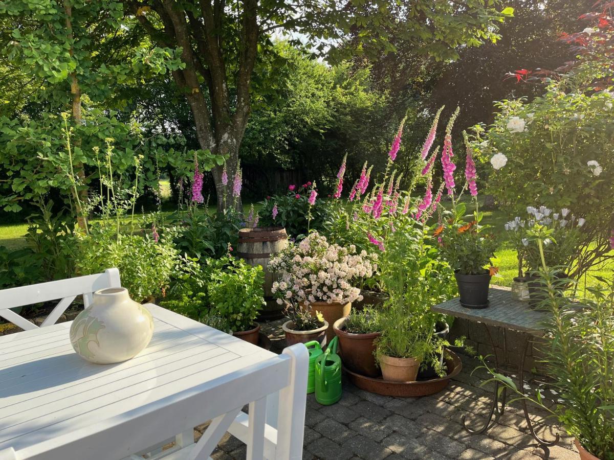 Fuglsang Bed & Breakfast Hjorring ภายนอก รูปภาพ